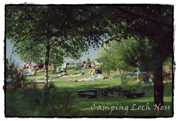 Galeria - zdjęcie 17