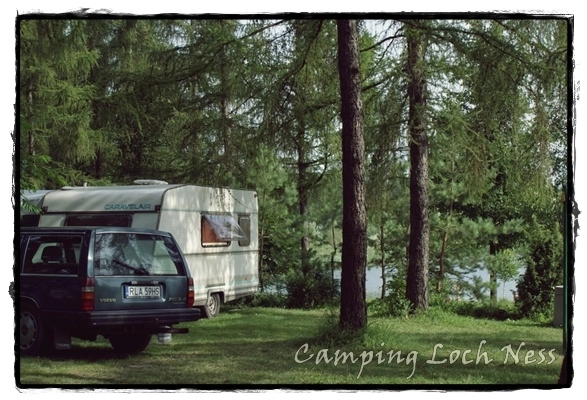 Galeria - zdjęcie 14