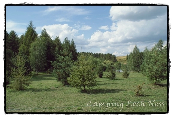 Galeria - zdjęcie 13