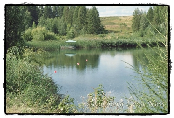 Galeria - zdjęcie 12