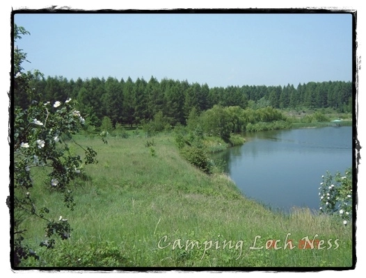 Galeria - zdjęcie 10