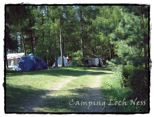 Galeria - zdjęcie 8