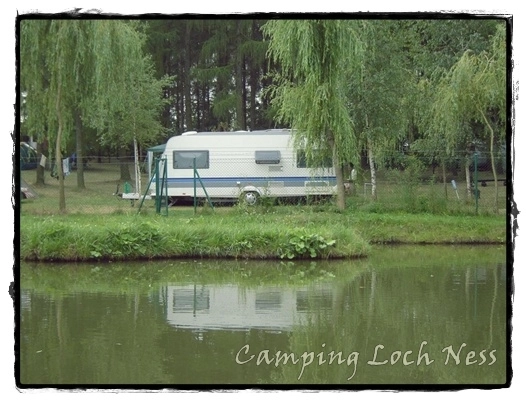 Galeria - zdjęcie 1