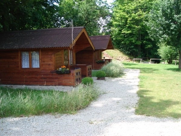 Galeria - zdjęcie 13