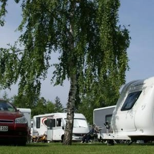 Camping nr 51 „Leśny” - zdjęcie 3