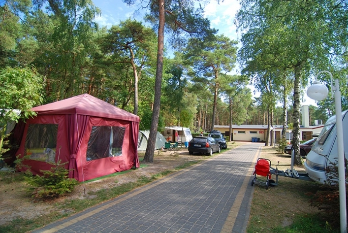 Galeria - zdjęcie 14