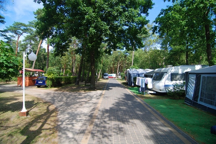 Galeria - zdjęcie 13