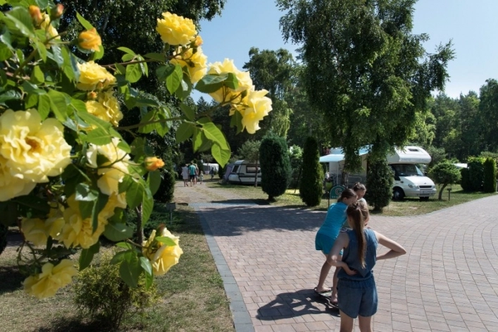 Galeria - zdjęcie 20