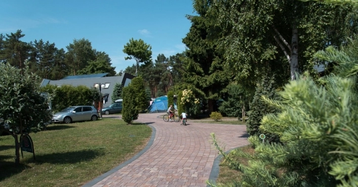 Galeria - zdjęcie 18