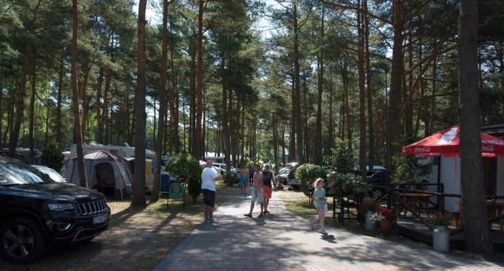 Galeria - zdjęcie 16