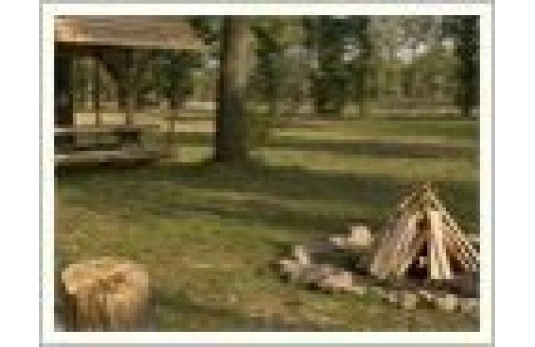 Galeria - zdjęcie 4