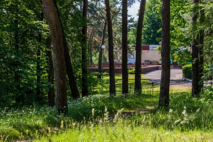 Galeria - zdjęcie 15