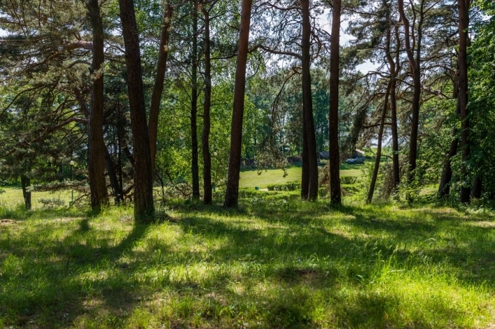 Galeria - zdjęcie 14