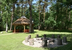 Galeria - zdjęcie 9