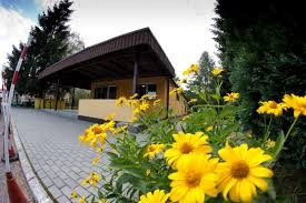 Galeria - zdjęcie 7