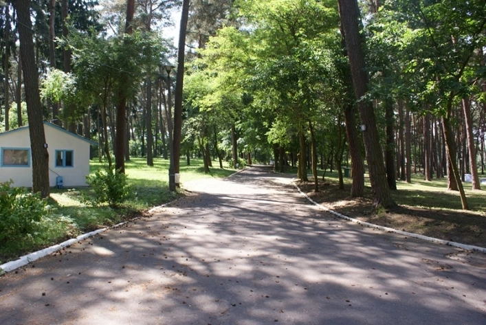 Galeria - zdjęcie 12