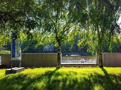 Elbląg, Camping nr 61 - zdjęcie 1