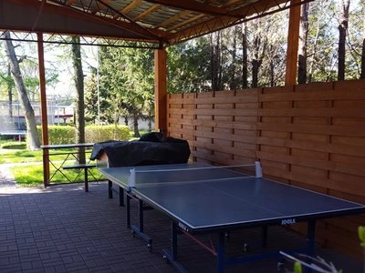 Galeria - zdjęcie 11