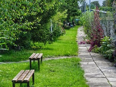 Galeria - zdjęcie 12