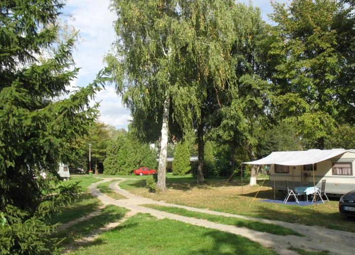 Galeria - zdjęcie 18