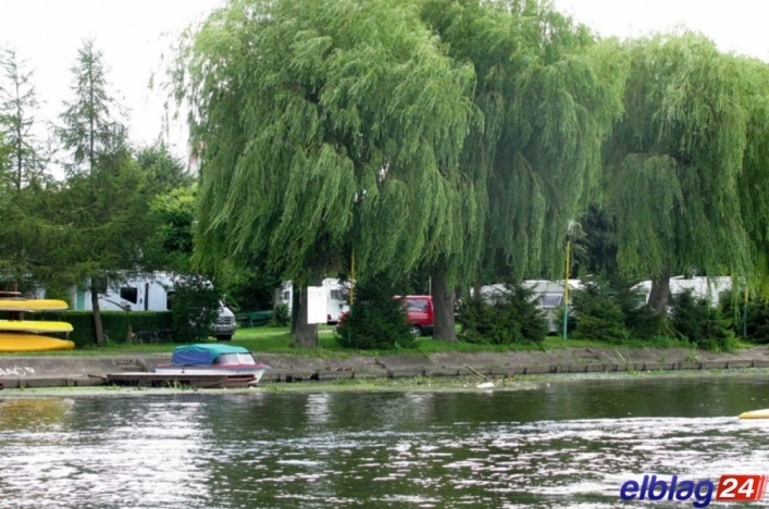 Galeria - zdjęcie 11