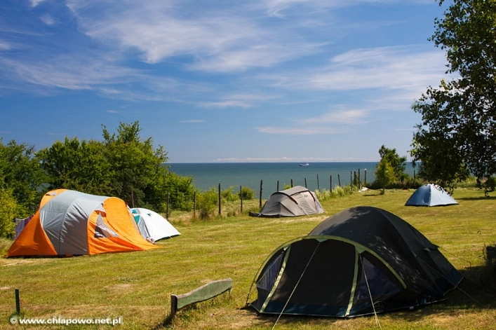 Galeria - zdjęcie 9