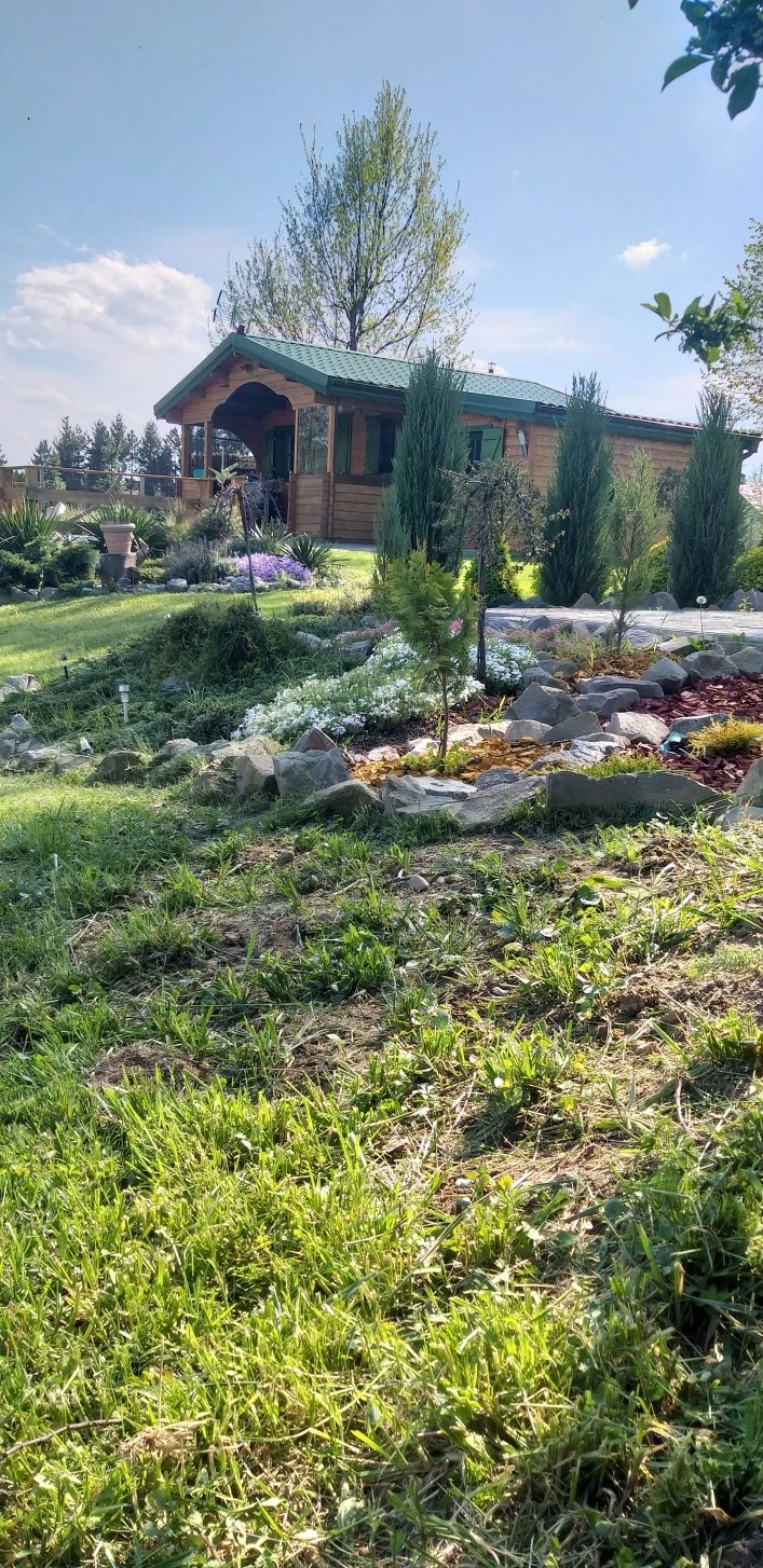 Galeria - zdjęcie 7