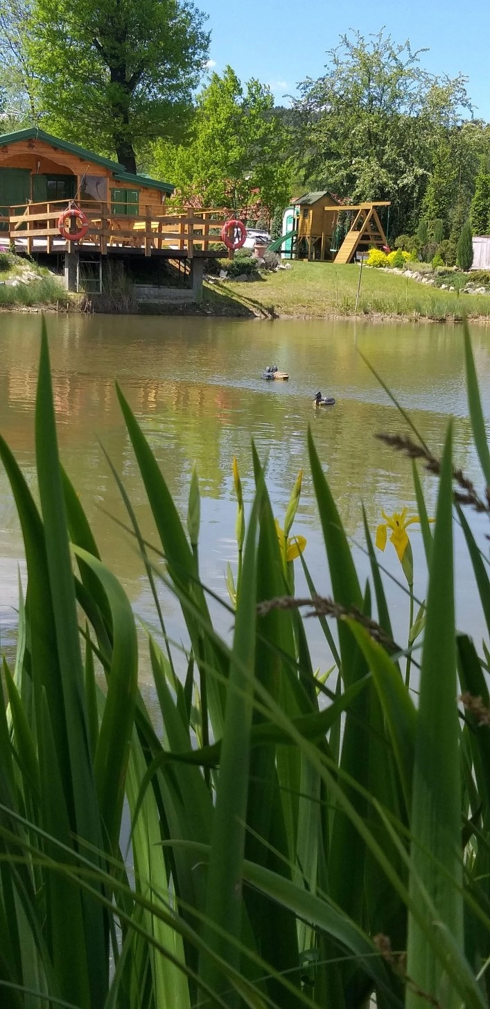 Galeria - zdjęcie 6