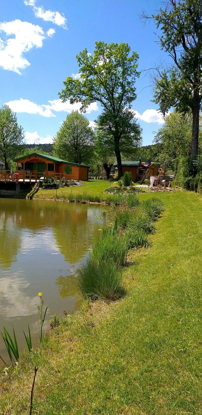 Przystań Podwierzbie - zdjęcie 3