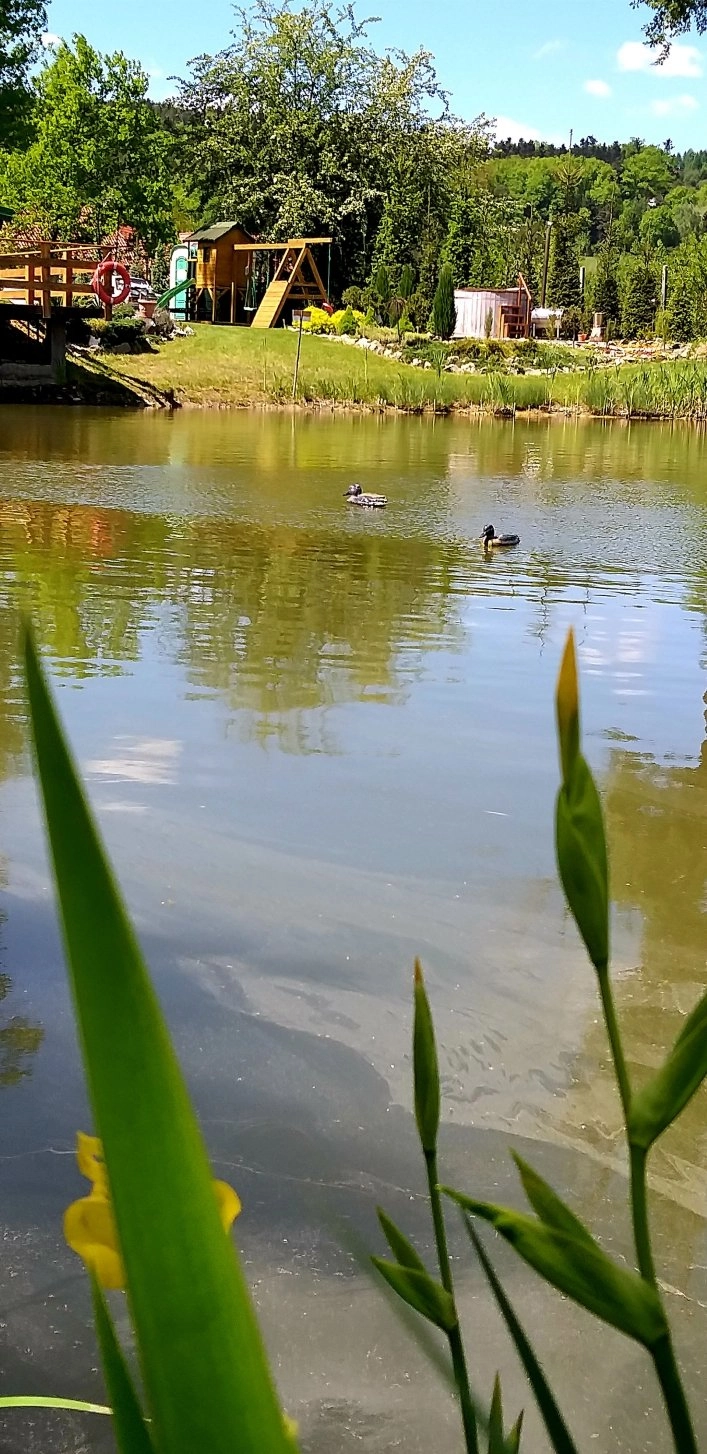 Przystań Podwierzbie - zdjęcie 2