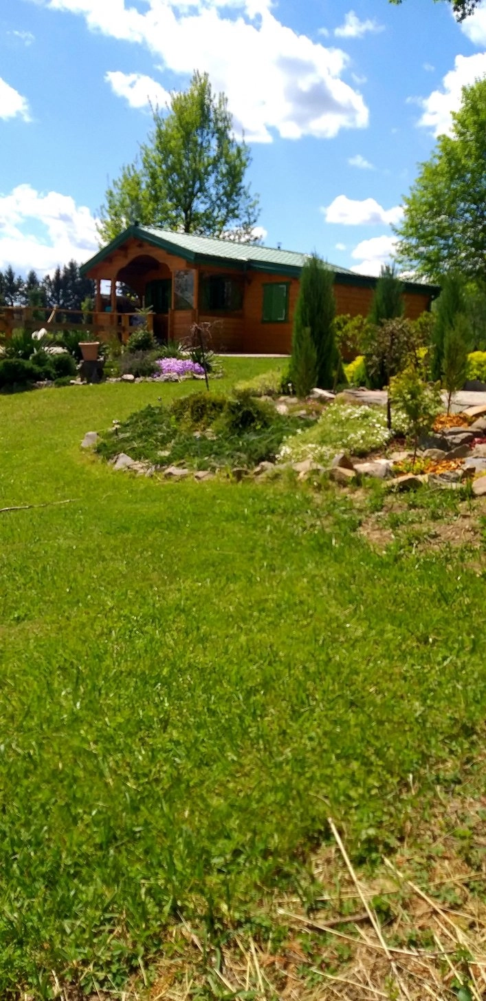 Galeria - zdjęcie 2