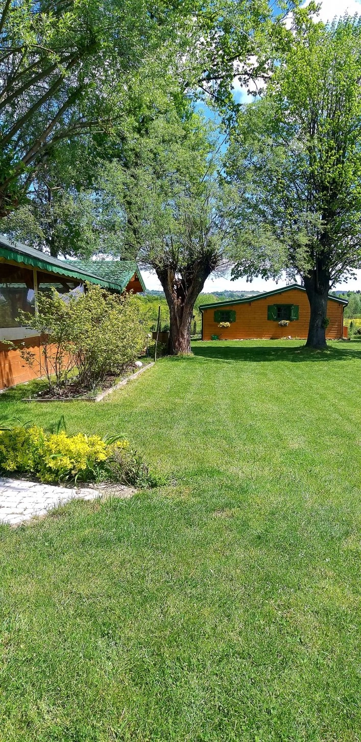 Galeria - zdjęcie 1