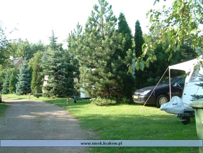 Galeria - zdjęcie 13