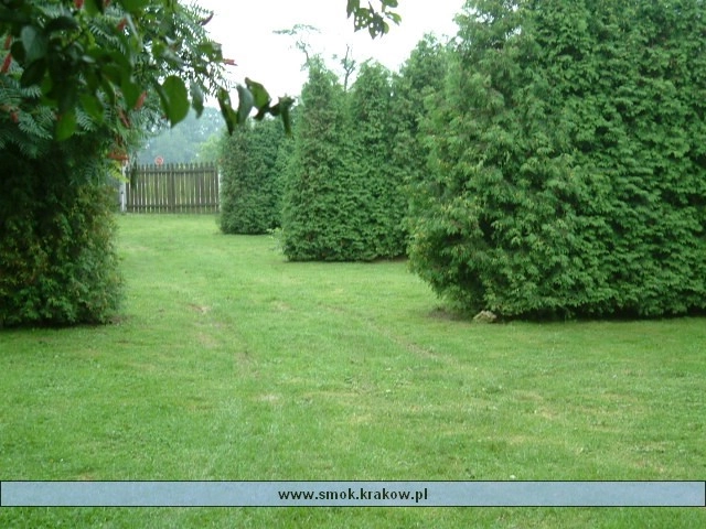 Galeria - zdjęcie 6