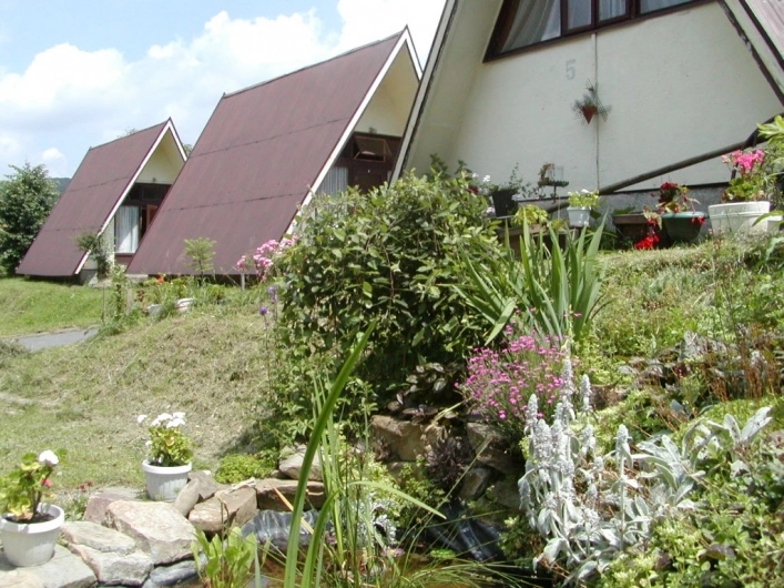 Galeria - zdjęcie 9