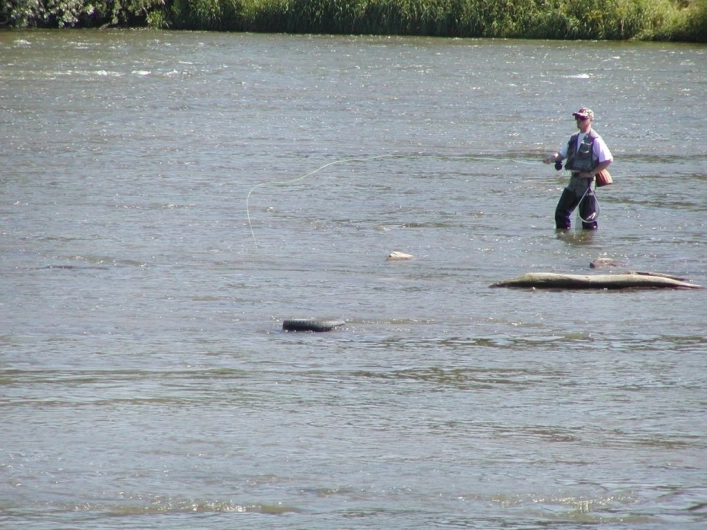 Galeria - zdjęcie 3