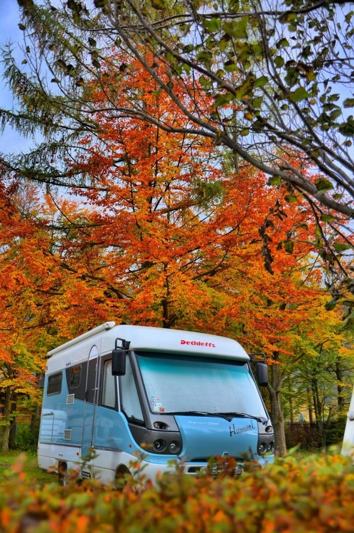 Galeria - zdjęcie 20