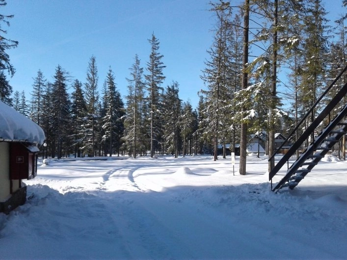 Galeria - zdjęcie 6