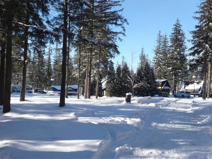 Camping pod Krokwią w Zakopanym - zdjęcie 3