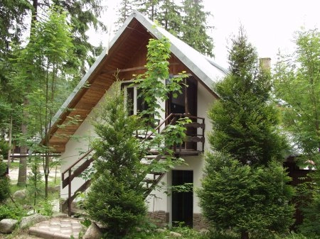 Galeria - zdjęcie 37