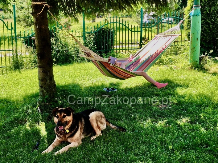 Galeria - zdjęcie 13