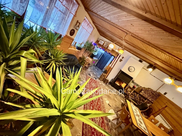 Galeria - zdjęcie 11