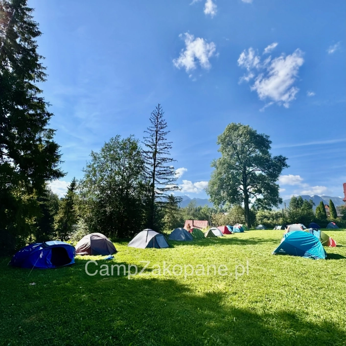 Galeria - zdjęcie 7