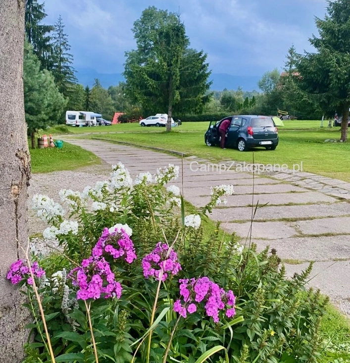 Galeria - zdjęcie 6