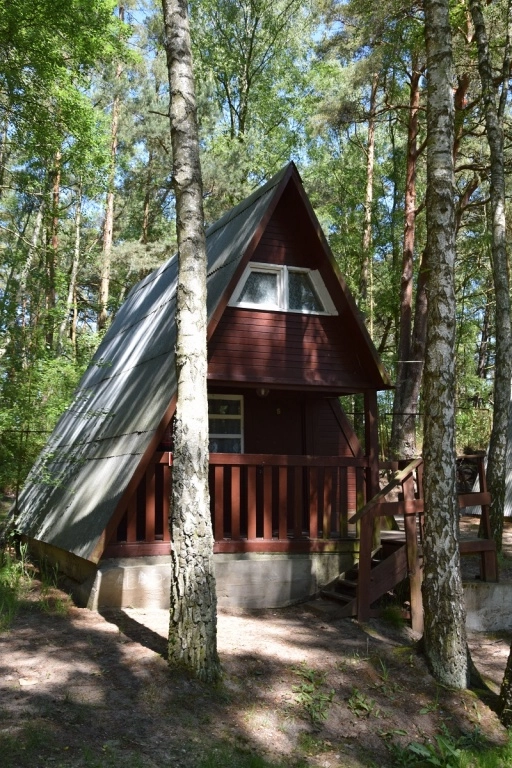 CAMPING TRAMP - zdjęcie 4