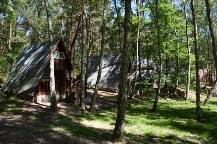 CAMPING TRAMP - zdjęcie 1