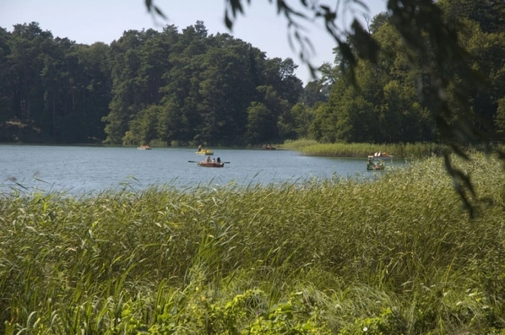 Galeria - zdjęcie 14