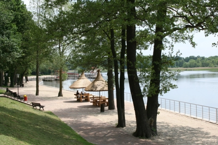 Galeria - zdjęcie 7