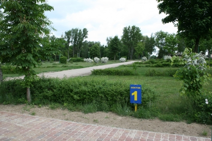 Camping "SŁONECZNY" - zdjęcie 3