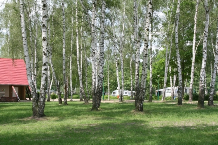 Galeria - zdjęcie 1